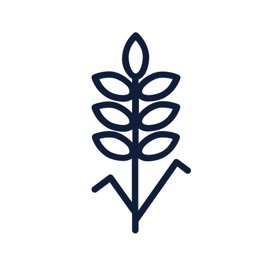 Épi de blé stylisé, symbole agricole